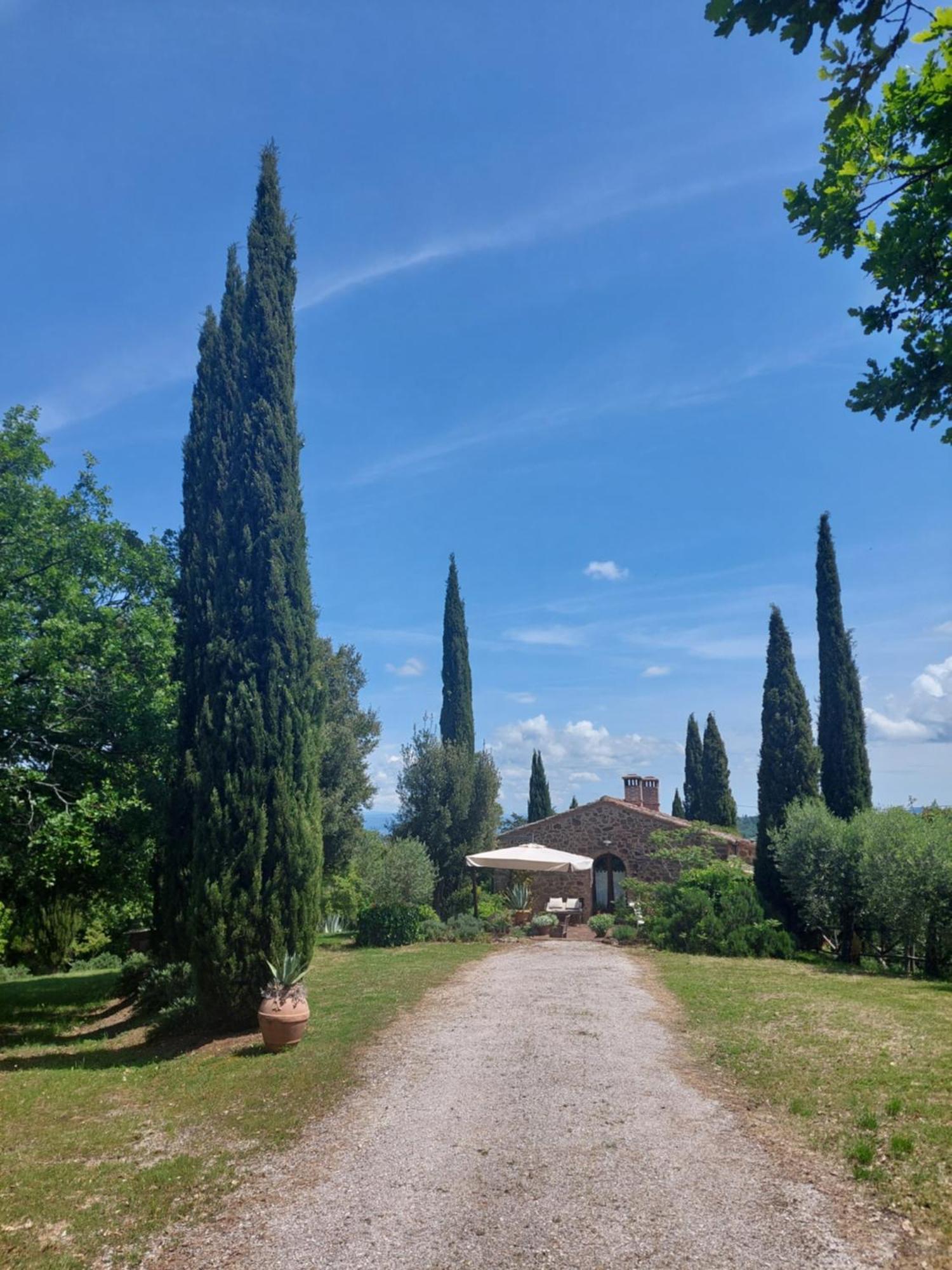 Podere Cerreto Казоле-д'Эльса Экстерьер фото
