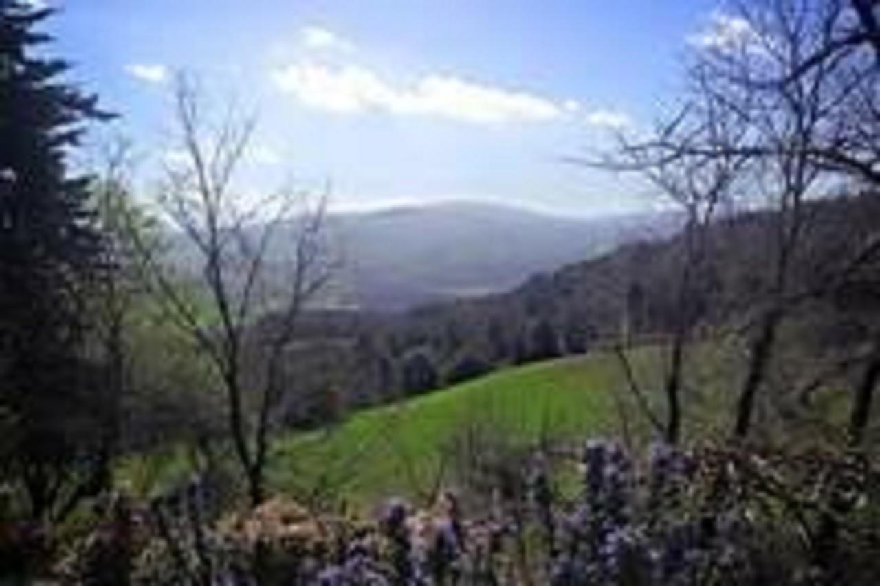 Podere Cerreto Казоле-д'Эльса Экстерьер фото